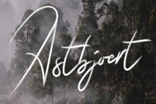 Astbjoert Brings Raw Character to Modern Web Typography