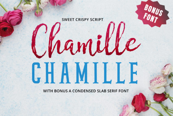 Chamille Script: A Handwritten Font for Editorial Design