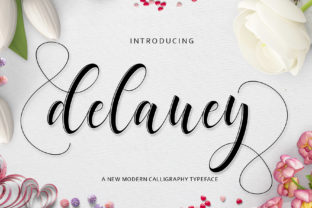 Delaney: A Modern Script Font for Web Design