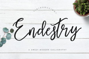 Endestry Script Font Brings Sweet, Flirty Charm to Your Brand