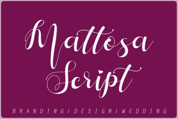 Professional Script Font for Business