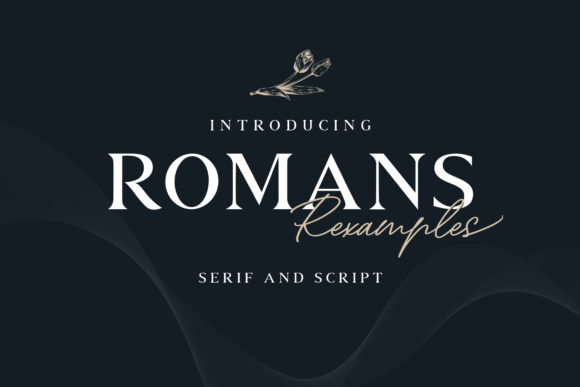 Romans Rexamples Duo: A Font That Makes Your Brand Feel Complete